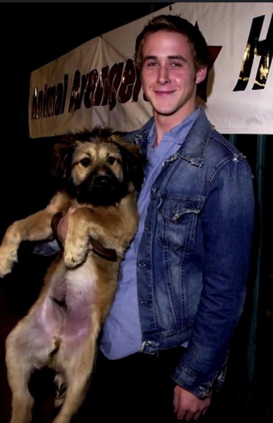 Un homenaje a mi historia de amor favorita de Hollywood: Ryan Gosling,  George y el mohicano de George : r/popculturechat