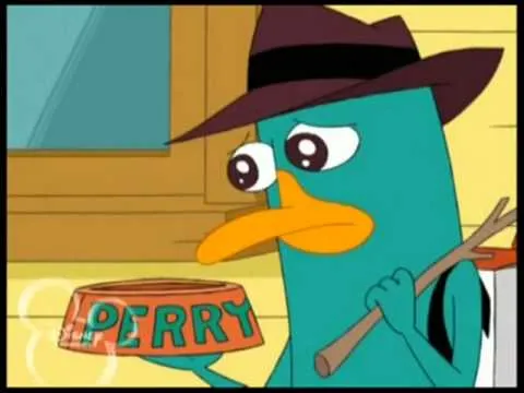 homenaje a perry el ornitorrinco. - YouTube homenaje a perry el ornitorrinco. - YouTube
