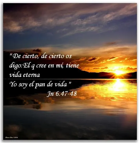 Piden a Jesús una señal