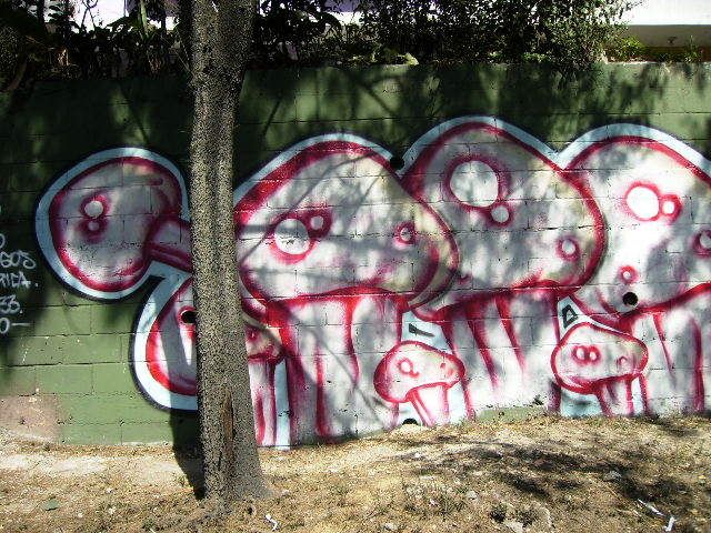 hongo_in_guate.jpg