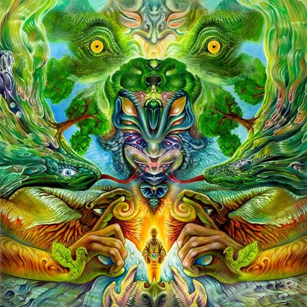 Salud y Enfermedades | Tu Space