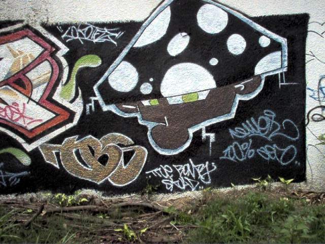 Hongos graffiti - Imagui