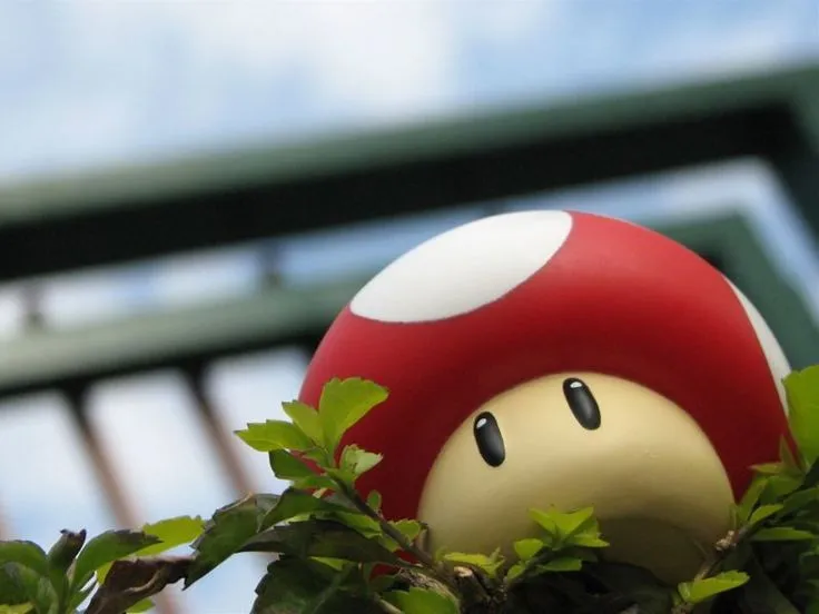 Honguito Rojo | Geek | Pinterest | Mario Bros, Mario and Super ... Honguito Rojo | Geek | Pinterest | Mario Bros, Mario and Super ...