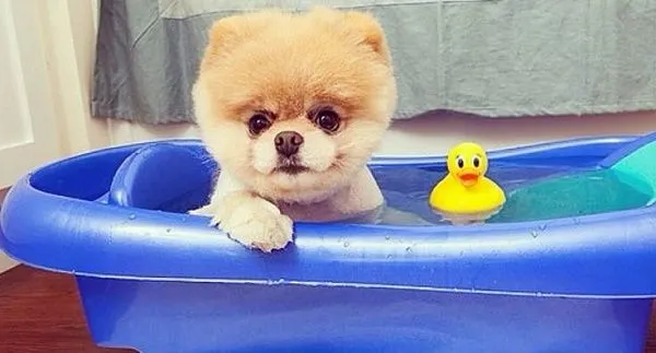 La hora del baño jamás había sido tan tierna, hasta hoy