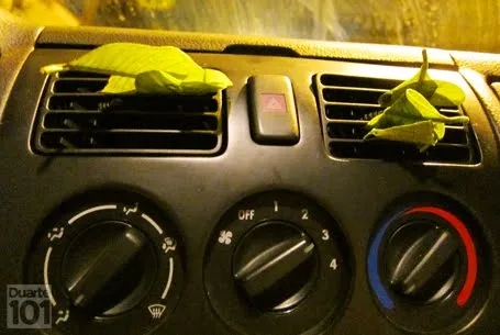 La hora latina.net: 06/