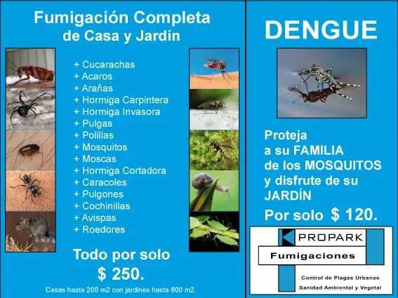 hormigas | FUMIGACIONES PROPARK's Blog