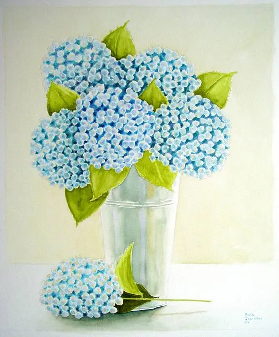 Hortensias María Cavanillas - Artelista.com