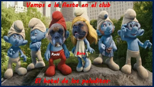 Hotel de los peluditos / Uniteddogs