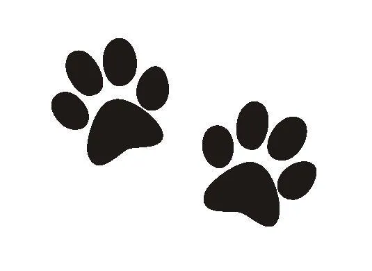 Hotel para perros LA NEGRI (facebook)