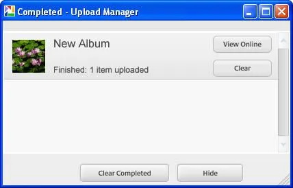 How do I create a web album in Picasa? » Images » Windows » Tech Ease