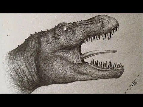 How to Draw Tyrannosaurus Rex / Cómo dibujar un Tiranosaurio Rex a ...