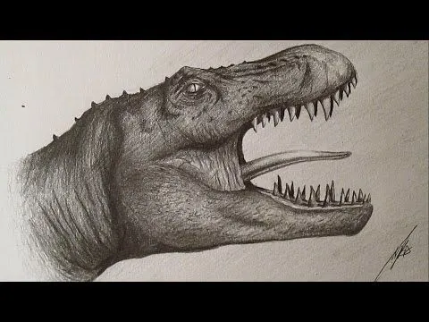 How to Draw Tyrannosaurus Rex / Cómo dibujar un Tiranosaurio Rex a ... How to Draw Tyrannosaurus Rex / Cómo dibujar un Tiranosaurio Rex a ...