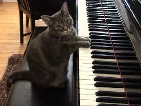 How to play piano