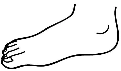 Qué puedo hacer hoy?: El cuerpo humano: imágenes Qué puedo hacer hoy?: El cuerpo humano: imágenes