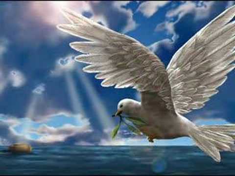 hqdefault.jpg hqdefault.jpg