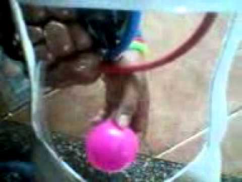 Como crear 1 maqueta del sistema urinario - YouTube Como crear 1 maqueta del sistema urinario - YouTube