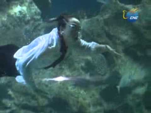 Como son las sirenas reales - Imagui