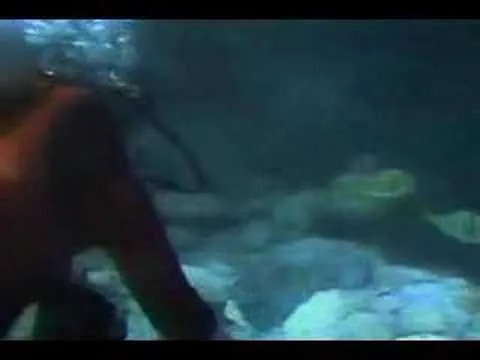 Mermaid sightings - Imagui Mermaid sightings - Imagui