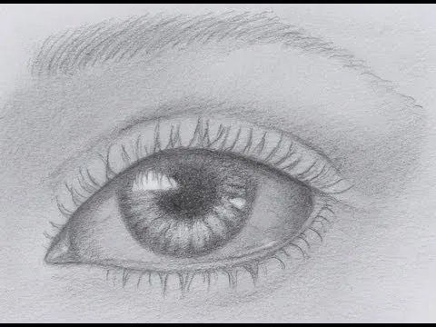 Aprender a dibujar: cómo dibujar un ojo realista - Arte Divierte ... Aprender a dibujar: cómo dibujar un ojo realista - Arte Divierte ...