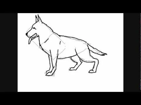 Dibujos de perros :perro Pastor Alemán - Dibujos para Pintar - YouTube Dibujos de perros :perro Pastor Alemán - Dibujos para Pintar - YouTube