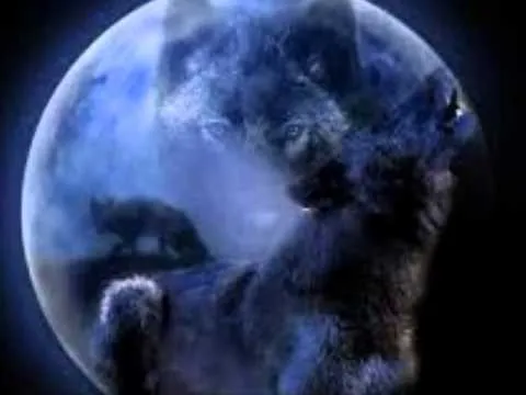 EL LOBO Y LA LUNA (historia de amor) - YouTube