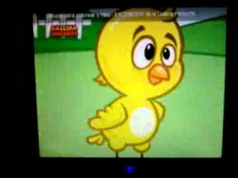 Imagenes del pollito amarillito - Imagui