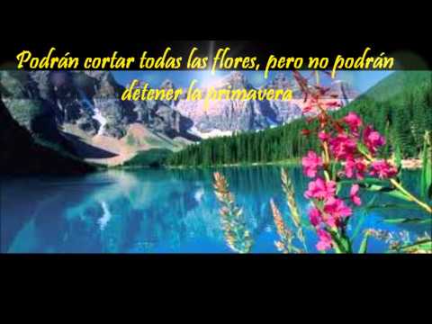 la grandesa del medio ambiente y frases de reflexion - YouTube