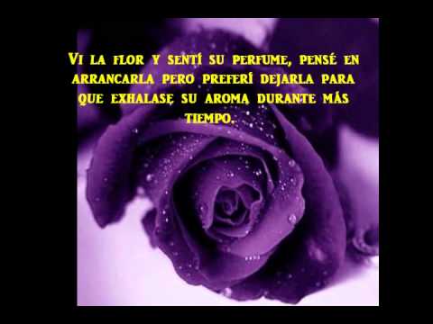 Que es el amor? -Poema de reflexion- - YouTube