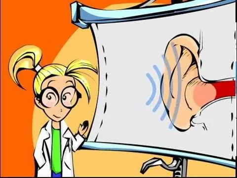 2.- Los Cinco Sentidos.- El Oido - YouTube