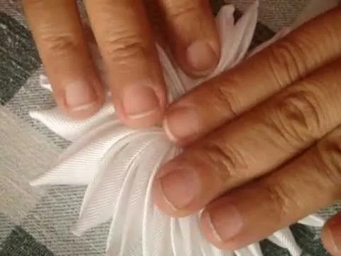 Flor de uña de gato - YouTube