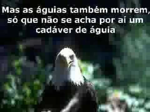 Reflexão sobre si - YouTube