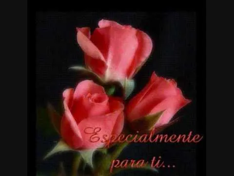 FLOR HERMOSA:: LOS ARROYOS DE JUNGAPEO MICHOACAN - YouTube
