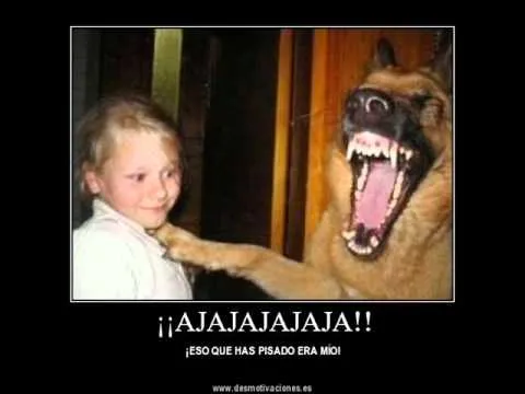 Imagenes.comgraciosas - Imagui