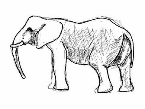 Cómo dibujar un elefante paso a paso - YouTube