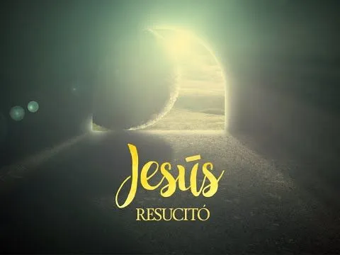 hqdefault.jpg hqdefault.jpg