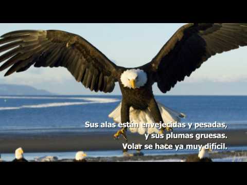 el sendero del mago: mayo 2011