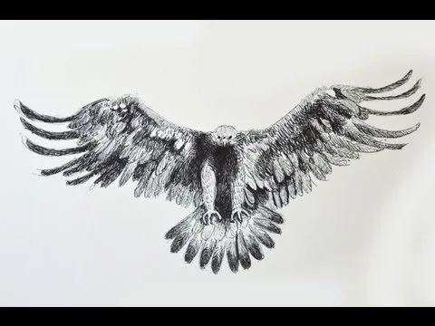 Cómo dibujar un águila con bolígrafo - Arte Divierte. - YouTube