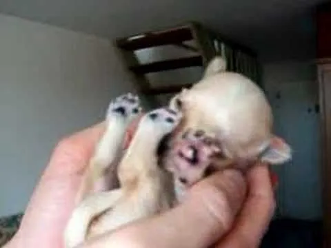 hqdefault.jpg hqdefault.jpg