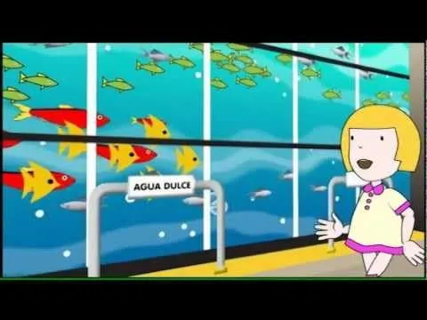 Como nacen los peces - Imagui