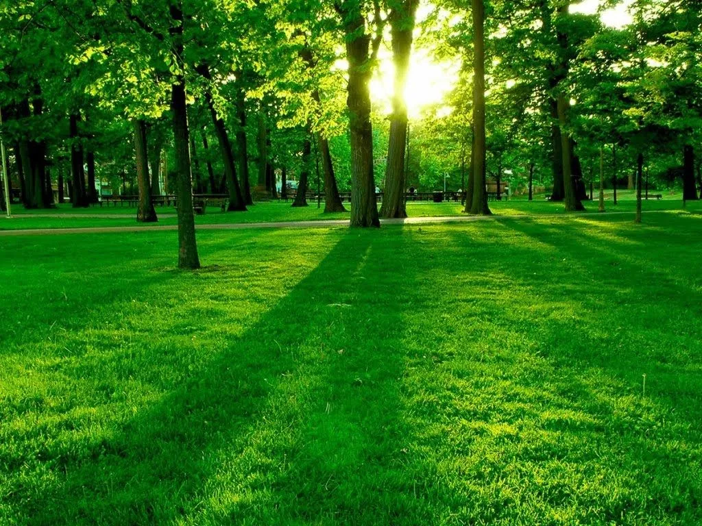 HQWALLPICTURES FOR DESKTOP: PAISAJES VERDES
