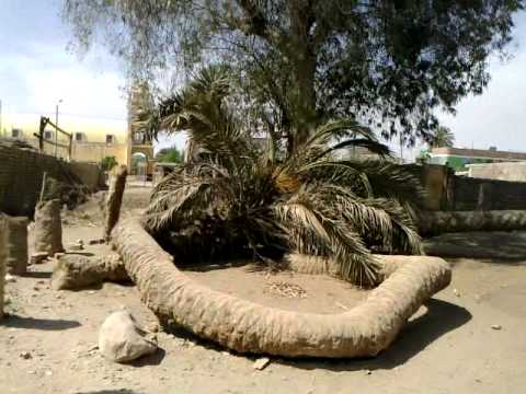 huacachina2threse 009 Arbol de las Siete Raices en Brujas de ... huacachina2threse 009 Arbol de las Siete Raices en Brujas de ...