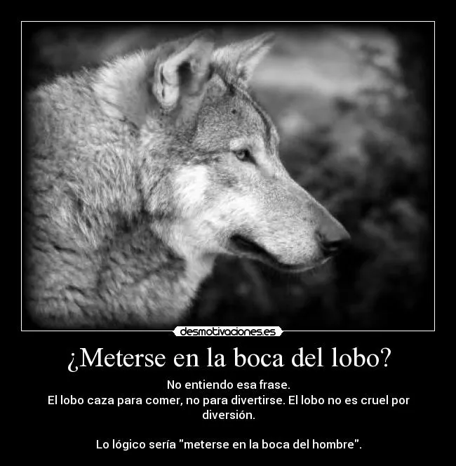 LA HUELLA DEL LOBO IBÉRICO: Lobos y Frases