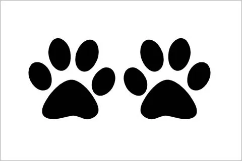 Huella De Perro Para Colorear - Imagui - Cliparts.co Huella De Perro Para Colorear - Imagui - Cliparts.co