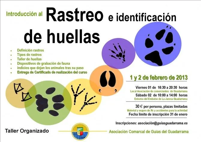 Un taller enseñará a reconocer e identificar las huellas animales ...
