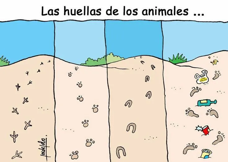 Las huellas de los animales" Lamentablemente no pude encontrar el ...