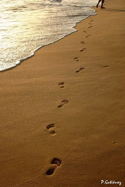 huellas iba caminando detras de mi mujer por la playa y me encanto las ... huellas iba caminando detras de mi mujer por la playa y me encanto las ...