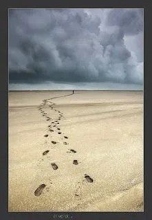 Las huellas de cuatro pies se dibujaban en la arena de la playa; si ... Las huellas de cuatro pies se dibujaban en la arena de la playa; si ...