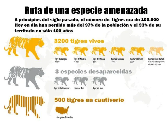 Tras las huellas de los últimos tigres - Ulule