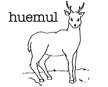 Huemul dibujo - Imagui