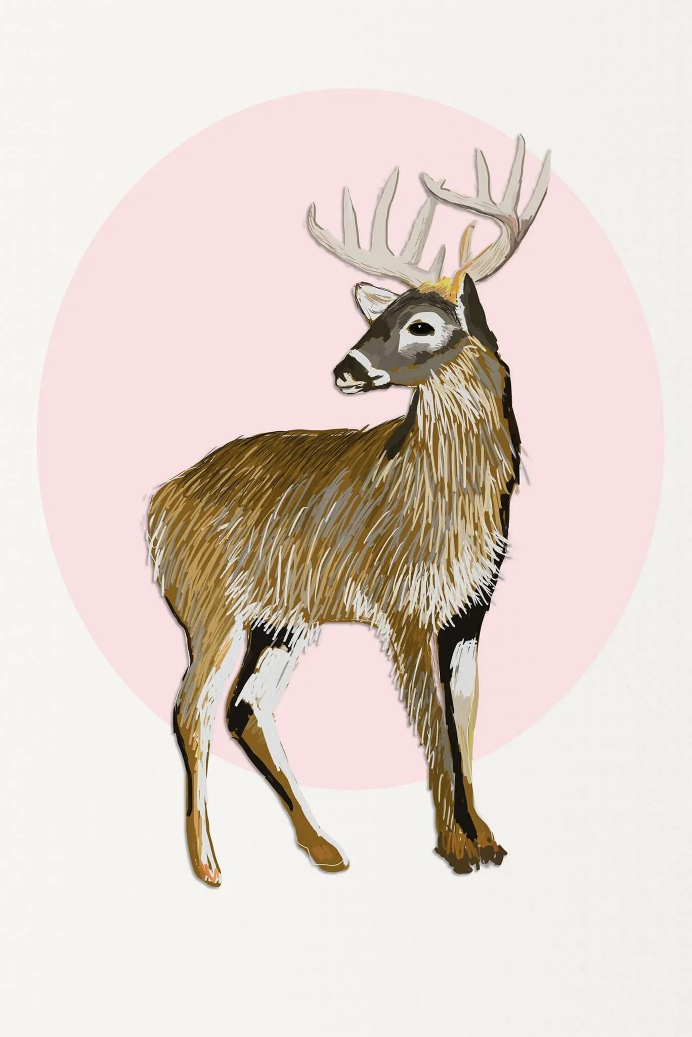 Huemul | Pop art, Art, Clip art